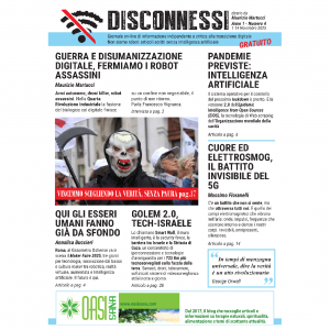 Disconnessi giornale - Anno 1, N. 4 (formato DIGITALE)