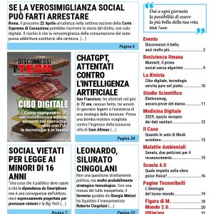 Disconnessi giornale - Anno II, N° 8 (15) - (formato DIGITALE)