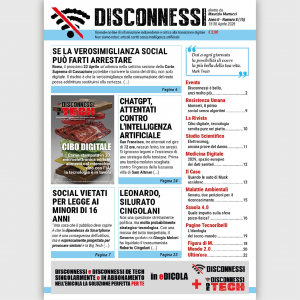 Disconnessi giornale - Anno II, N° 8 (15) - (formato DIGITALE)